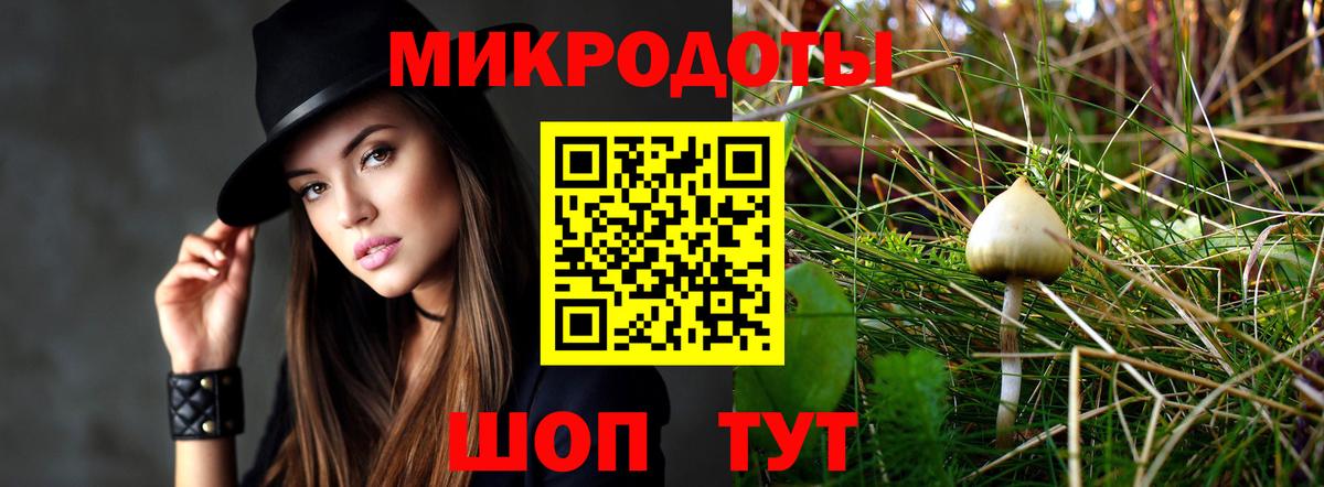 Псилоцибиновые грибы прущие грибы Всеволожск